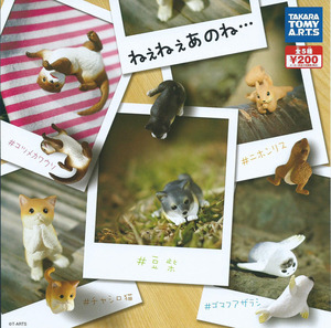欲言又止的小動物們 扭蛋系列 - 一套五款 - Animals With Hidden Speaks gacha series - set of 5pcs
