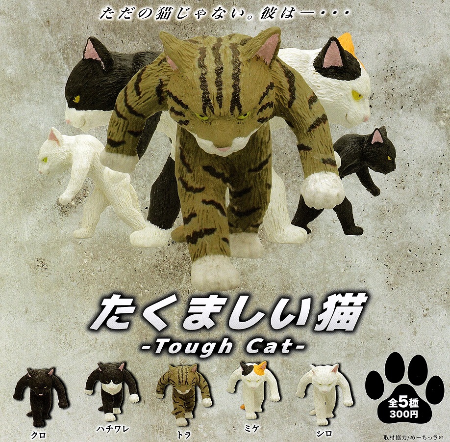 氣勢磅礡兩足貓 扭蛋系列 - 一套五款 - Tough Cat gacha series - set of 5pcs