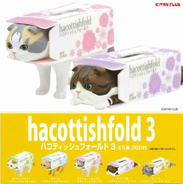 衛生紙盒裡的蘇格蘭摺耳貓 扭蛋3代 - 一套五款 - hacottishfold gacha series 3 - set of 5pcs