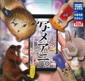 自拍動物 扭蛋系列 - 隨機單抽	 - Selfie Animals gacha series - assortment