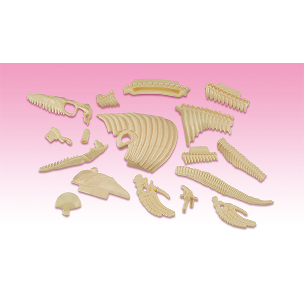 趣味解體拼圖科學系列 - 滄龍復原 - Kaitai Puzzle Science - Mosasaurus Restore