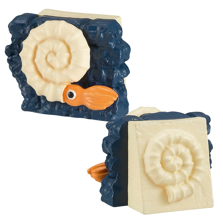 趣味解體拼圖科學系列 - 滄龍復原 - Kaitai Puzzle Science - Mosasaurus Restore