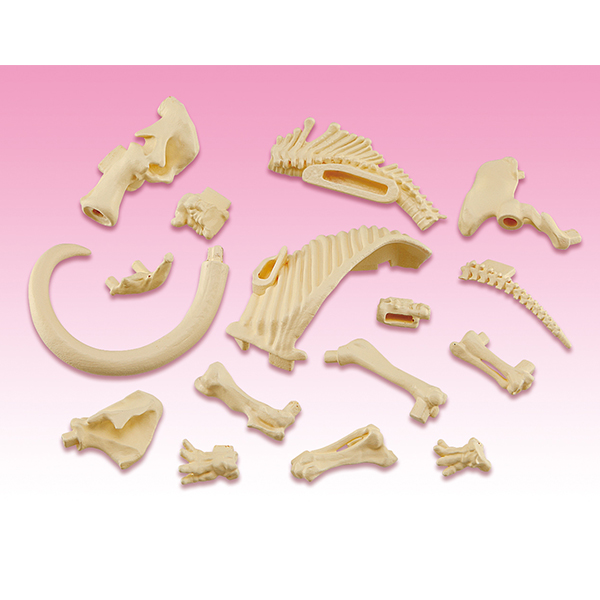 趣味解體拼圖科學系列 - 猛瑪象復原 - Kaitai Puzzle Science - Mammuthus Restore