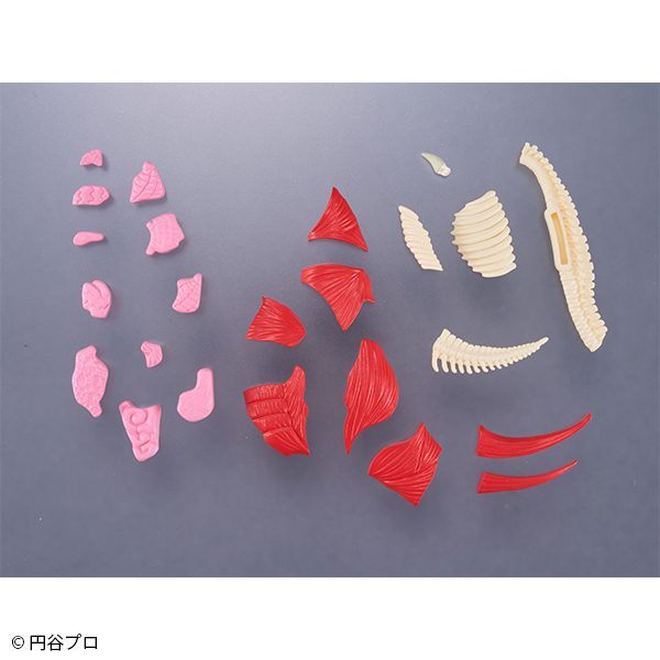 趣味解體拼圖Fantasy - 哥摩拉 - Kaitai Puzzle Fantasy - Gomorrah