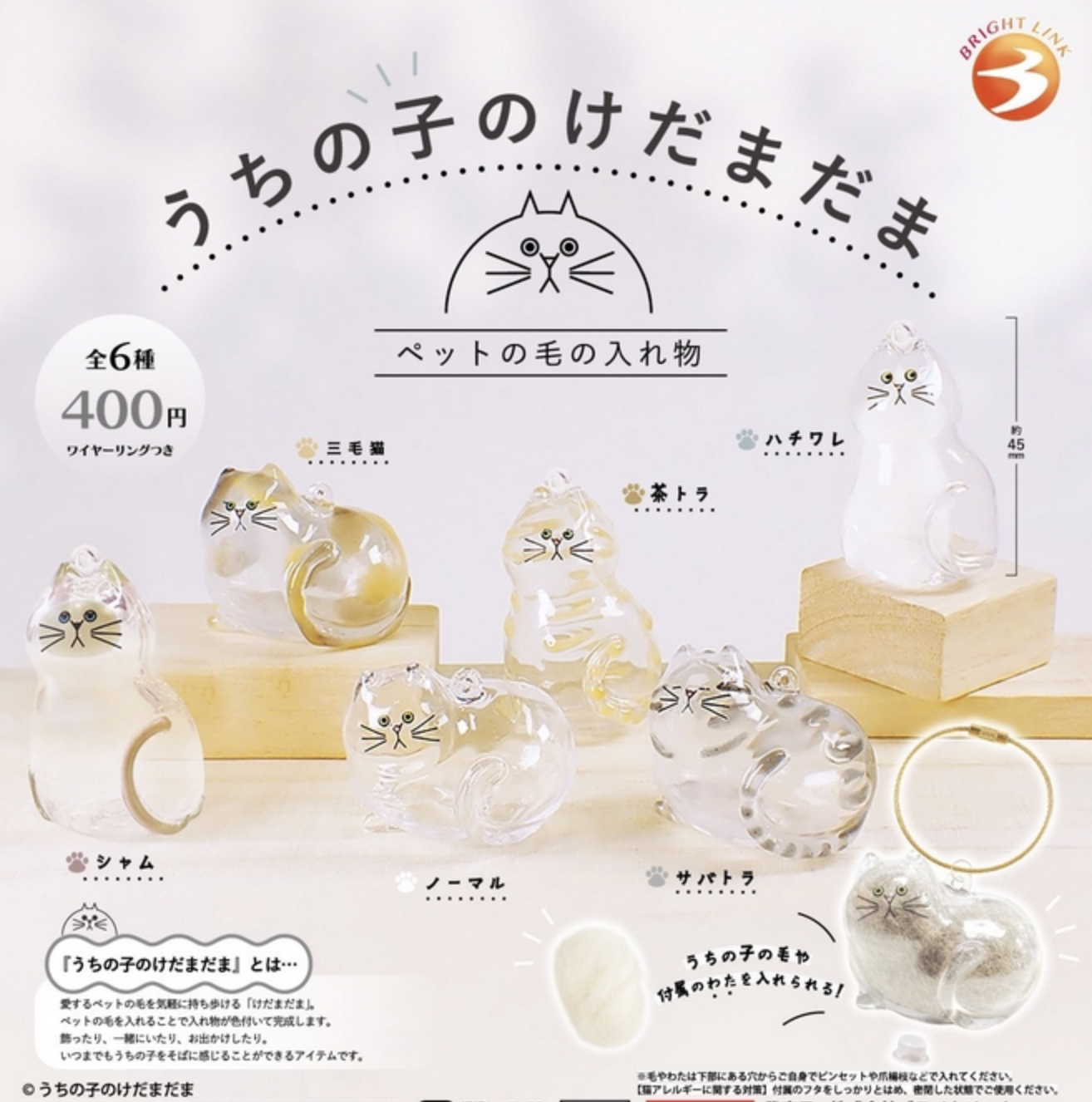 我家毛孩透明吊飾 扭蛋系列 - 隨機單扭 - My Pet Clear Charm gacha series - assortment